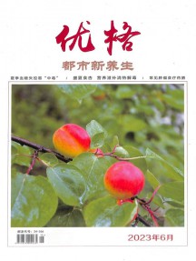 都市新养生